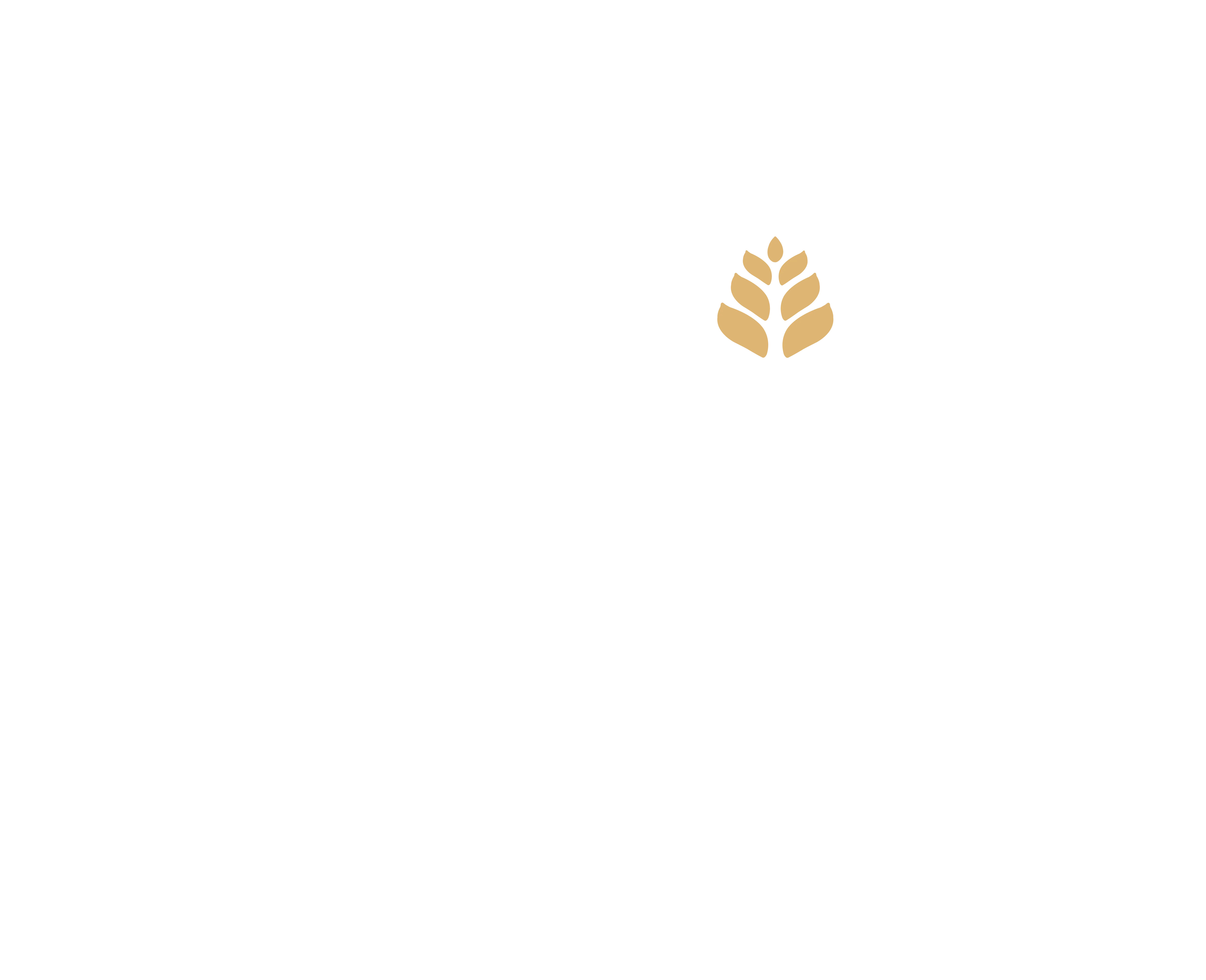 Zeniq Holistic Clinic